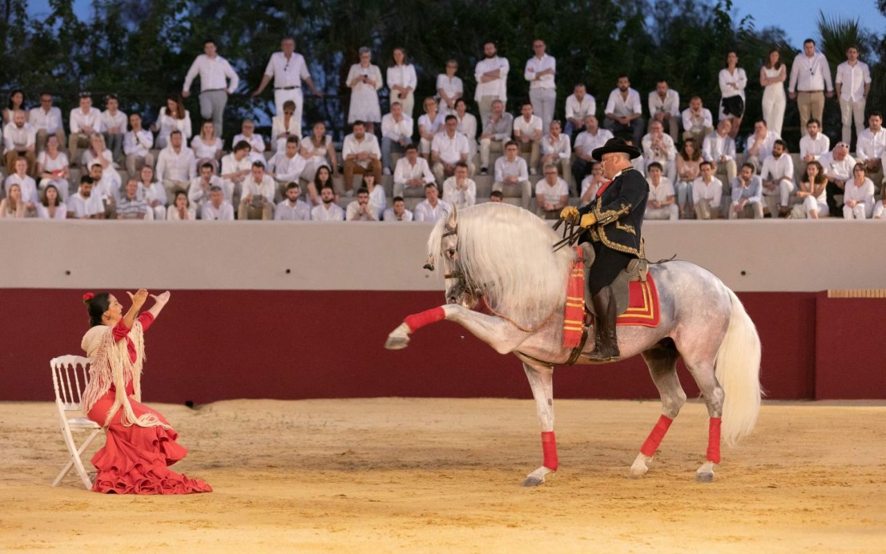 Espectáculo de caballo